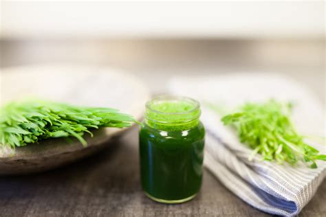 Wheatgrass Shots, Fresh Wheatgrass Juice, Organic Wheatgrass Bottled ...