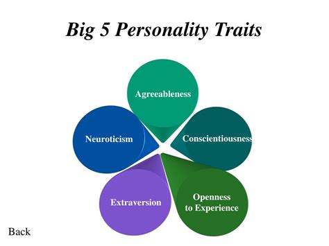 Personality Traits And Risk Attitudes Presentation