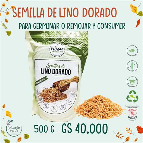 Semillas De Lino Dorado Org Nico Planeta Verde