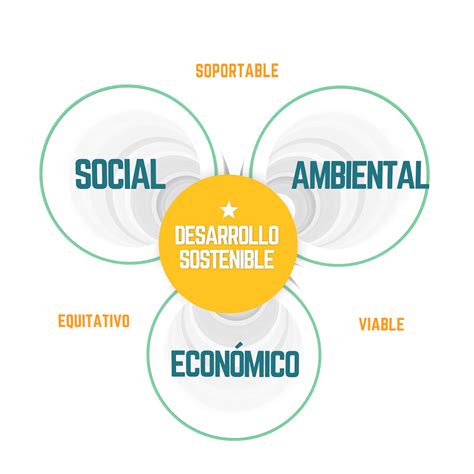 Esquema De Desarrollo ¡fotos And Guía 2024