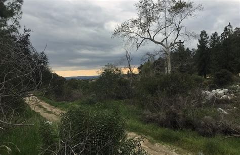 Best Hikes And Trails In Arcadia Alltrails