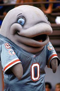 Dolphins - National Football League Mascots