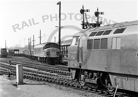 Rail Photoprints Class 52