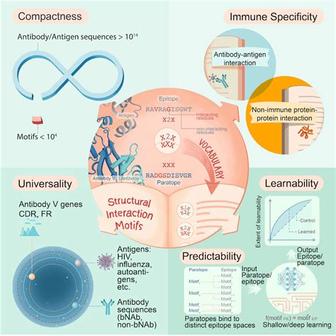 New Immune System Findings Could Accelerate On Demand Production Of