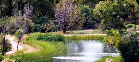 Verde River Greenway State Natural Area | Arizona