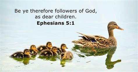 Ephesians 5 - KJV - DailyVerses.net