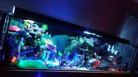 Fish Tank Themes