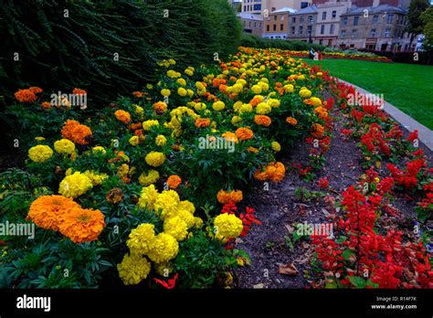 Parliament House Gardens, Hobart Stock Photo - Alamy