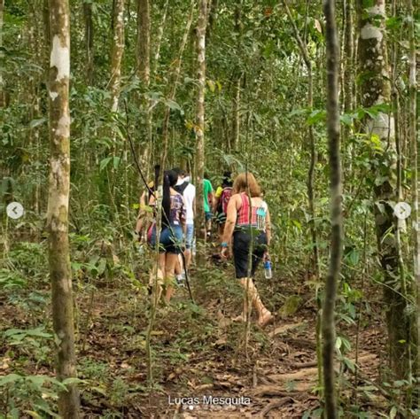 Icmbio Parque Nacional De Ubajara Venha Se Aventurar