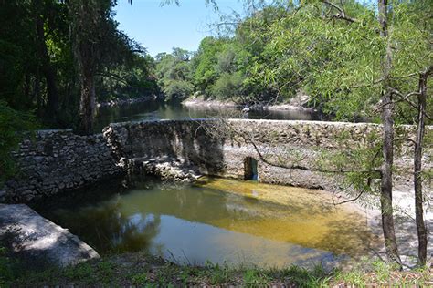 Springs of the Suwannee River Valley | Florida Hikes!