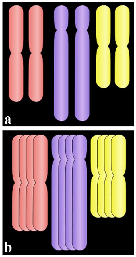 Plant Responses At Different Ploidy Levels IntechOpen