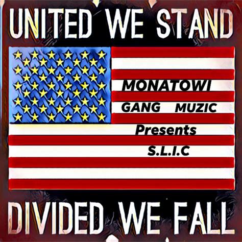 UNITED WE STAND DIVIDED WE FALL Single By S L I C Spotify