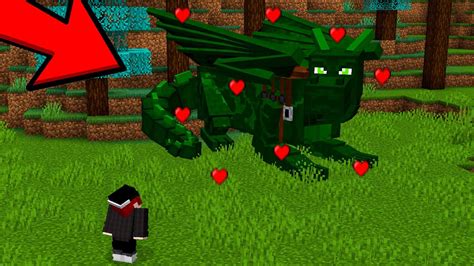 Domestiquei Um Ender Dragon Verde No Minecraft Youtube