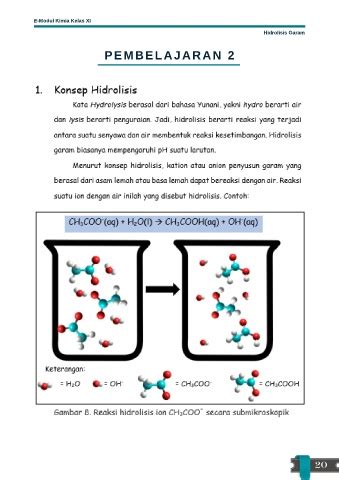 Page E Modul Kimia Hidrolisis Garam