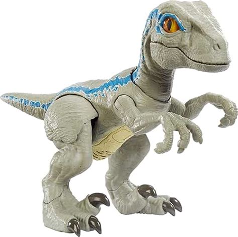 Amazon.co.uk: raptor blue