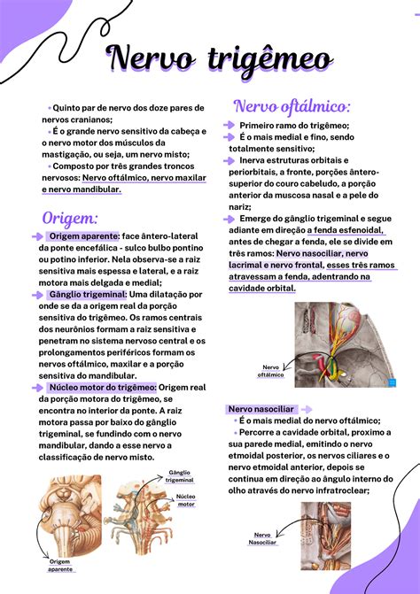 Resumo trigêmeo Quinto par de nervo dos doze pares de nervos