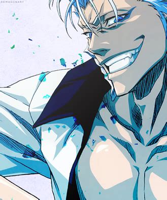 Grimmjow Jägerjaquez Bleach Anime Photo 38397193 Fanpop