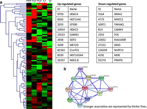 Alterations Of Gene Clusters In Inflammation Activated Nsclc Cell Line