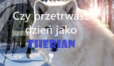 Czy Przetrwasz Jeden Dzie Jako Therian Samequizy