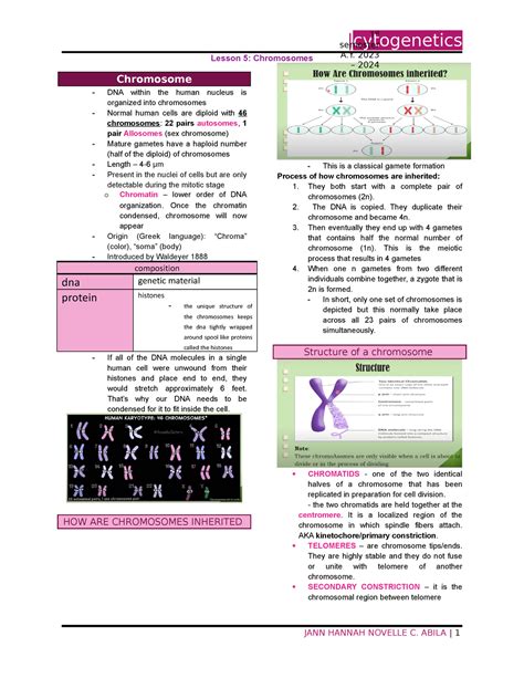 Cytogenetics Chromosome Cytogenetics Lesson 5 Chromosomes