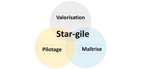 Aide Au Pilotage Dune Start Up Processus Et Performance