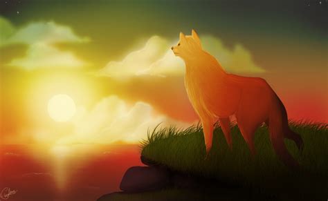 Firestar's Quest by dreamshimmer on DeviantArt