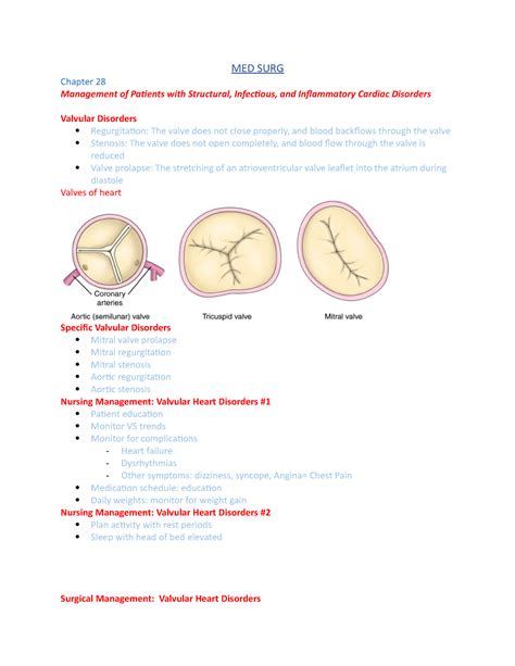 MED SURG Ch 28 Ch 28 Lecture Notes MED SURG Chapter 28 Management