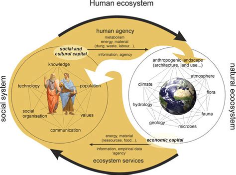 The Idea Of Human Ecosystem Integrates The Social System And The