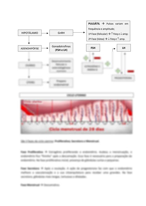 Solution Ginecologia Aula Ciclo Menstrual E Anticoncepcao Studypool