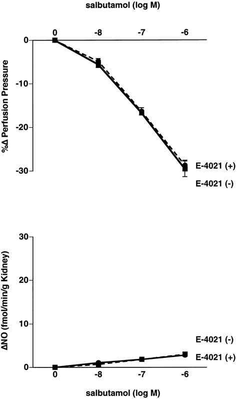 Role Of Nitric Oxidecgmp Pathway In Adrenomedullin Induced