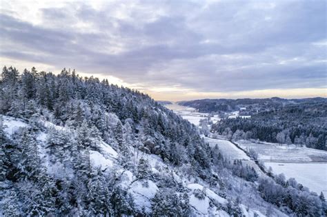 Reizen In Zweden Wild Van Het Hoge Noorden