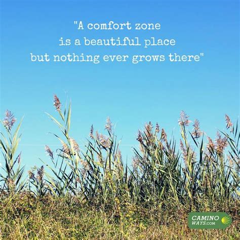 A Field With Tall Grass And The Words Comfort Zone Is A Beautiful Place