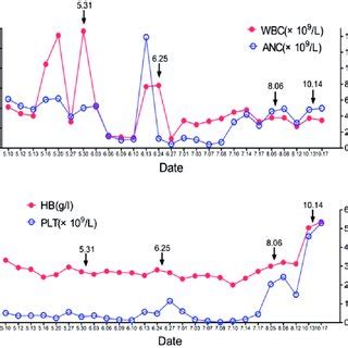 Blood Parameters Of A 58 Year Old Female Patient During Treatment With