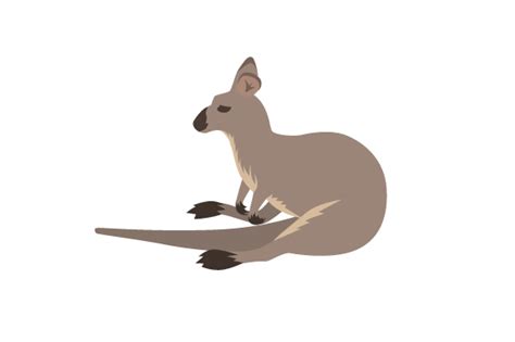 Wallaby Svg Cut File By Creative Fabrica Crafts · Creative Fabrica