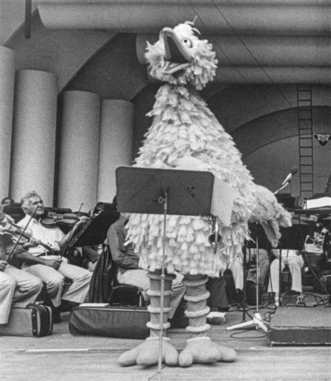 Sandboxbig Bird Conducting An Orchestra Muppet Wiki Fandom