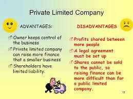 What Is Private Company Advantages And Disadvantages Mindstick Q A