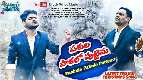 Pashula Pakalo Puttenu Latest Telugu Christmas