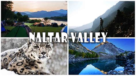 Naltar Valley Tour: 5 Reasons to Visit Naltar Valley in 2023