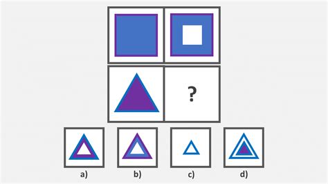 CAT4 Level B Test In 2024 Guide And Tips