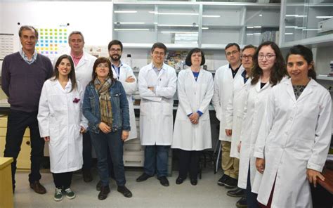 Un millón de euros para once proyectos de investigación de la UPCT