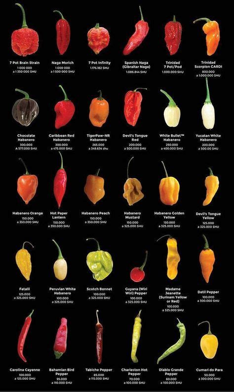 The Big List Of Hot Peppers Hot World Of Chili Print Poster Home Decor