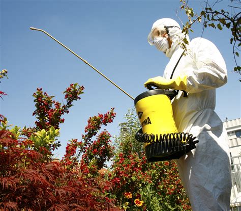 Pestizide | GLOBAL 2000