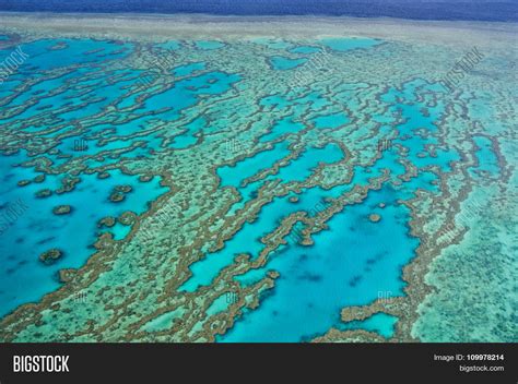 Great Barrier Reef - Image & Photo (Free Trial) | Bigstock