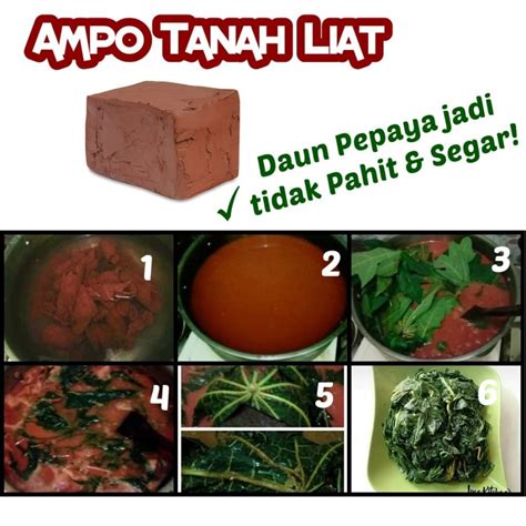 Jual Ampo Tanah Liat Untuk Merebus Daun Pepaya Agar Tidak Pahit