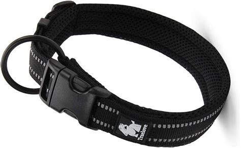 8 Best Dog Collars For Sensitive Skin - WAF