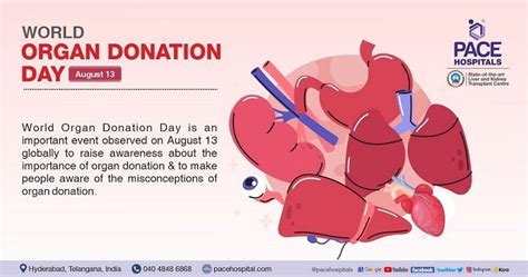 World Organ Donation Day 13 August 2023 History And Importance