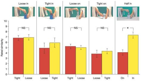 conceptual precursors  language nature