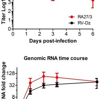 Kinetics Of Virus Production And Genomic Rna Replication Huvecs Were