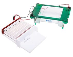 Horizontal Electrophoresis System NHES 103 Catalog