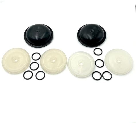 Amazon Pcs Diaphragm Pump Fits For Hypro D Pump Rebuild Kit